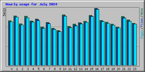 Hourly usage for July 2024