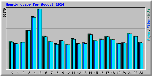 Hourly usage for August 2024