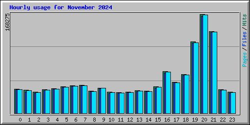 Hourly usage for November 2024