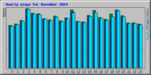 Hourly usage for December 2024
