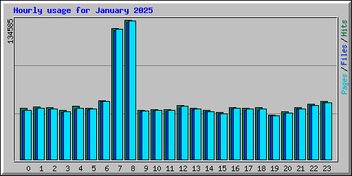 Hourly usage for January 2025