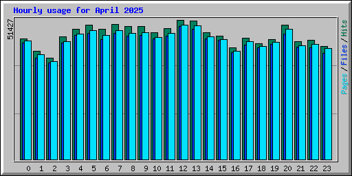 Hourly usage for April 2025