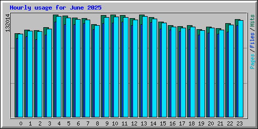 Hourly usage for June 2025