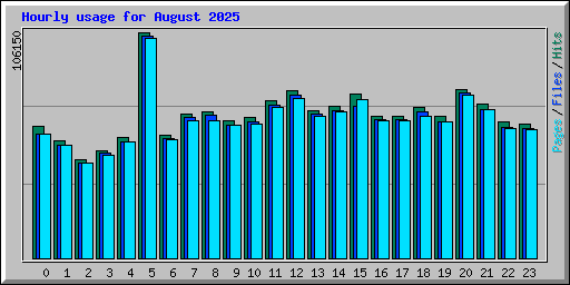 Hourly usage for August 2025