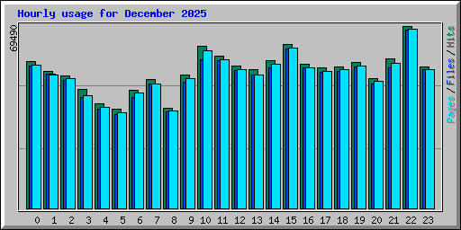Hourly usage for December 2025