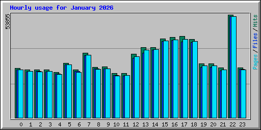 Hourly usage for January 2026