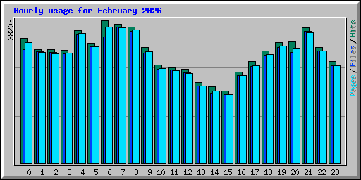 Hourly usage for February 2026